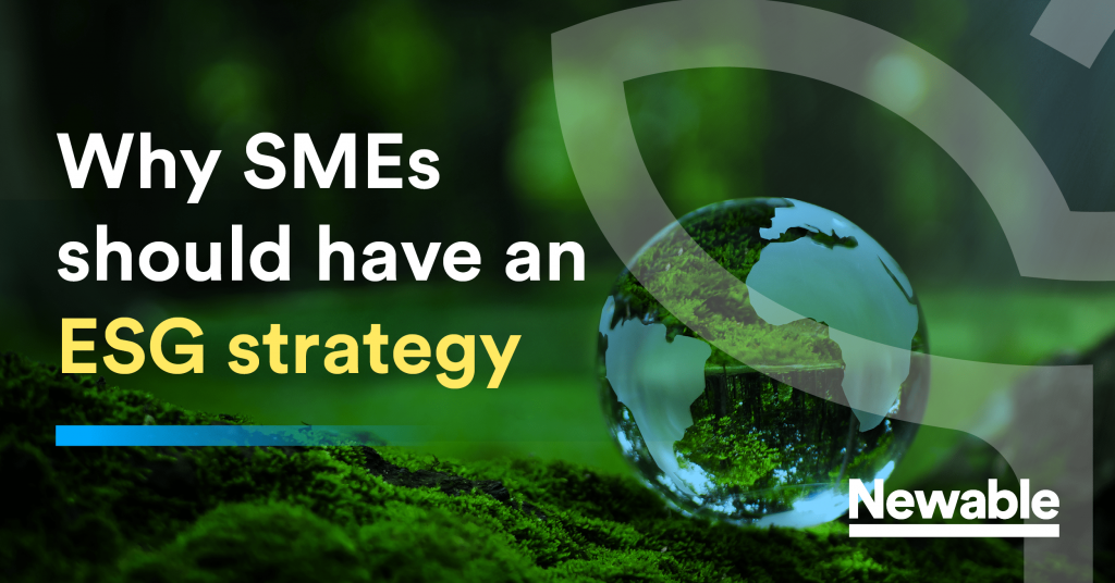 Why SMEs Should Have an ESG Strategy